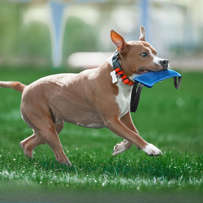 Durable Two-Handle Tug Toy