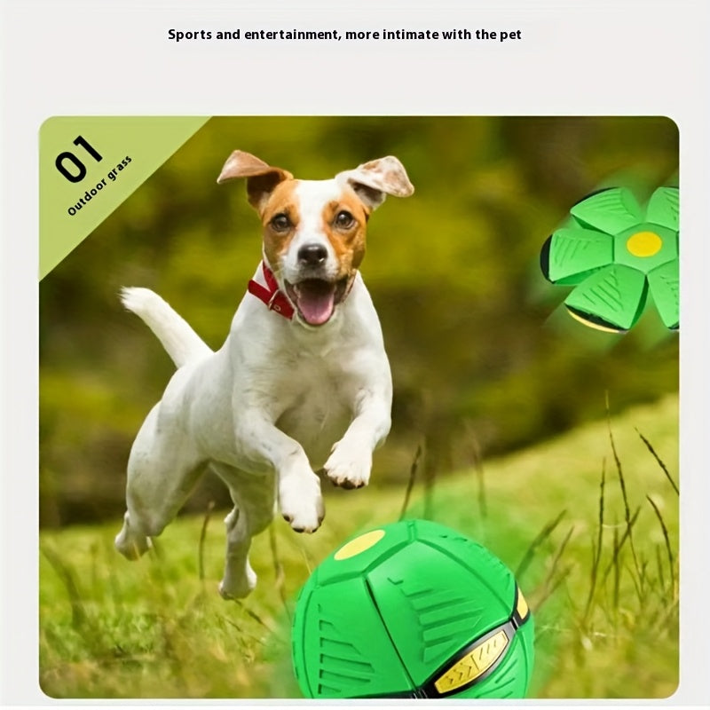 Transforming Elastic Dog Ball Toy