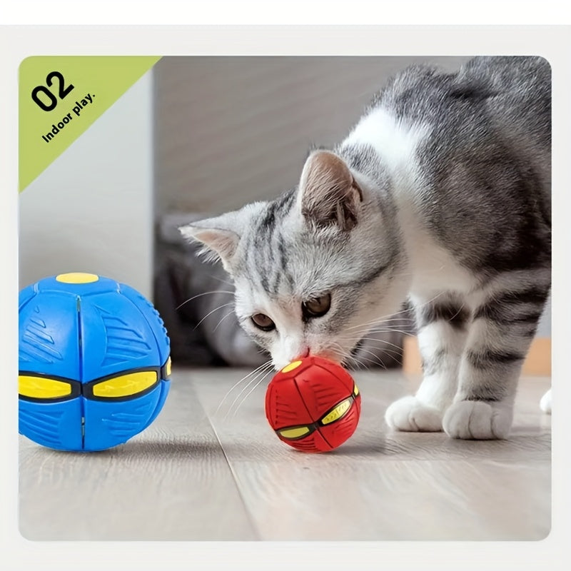 Transforming Elastic Dog Ball Toy