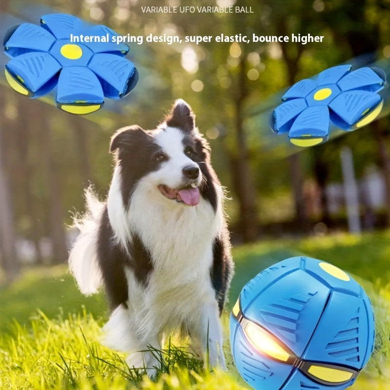 Transforming Elastic Dog Ball Toy