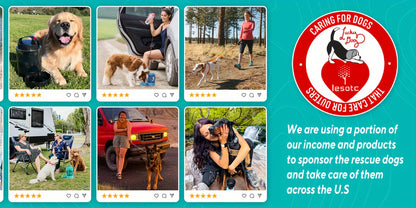 Adventure-Ready Portable Dog Water Bottle