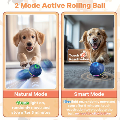 Smart Interactive Bouncing Dog Ball