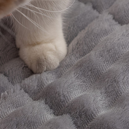 Non-Slip Dog Car Seat Mat