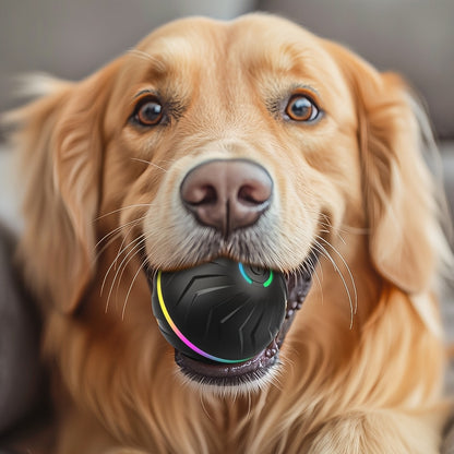 Smart Interactive Bouncing Dog Ball