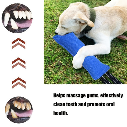 Durable Two-Handle Tug Toy