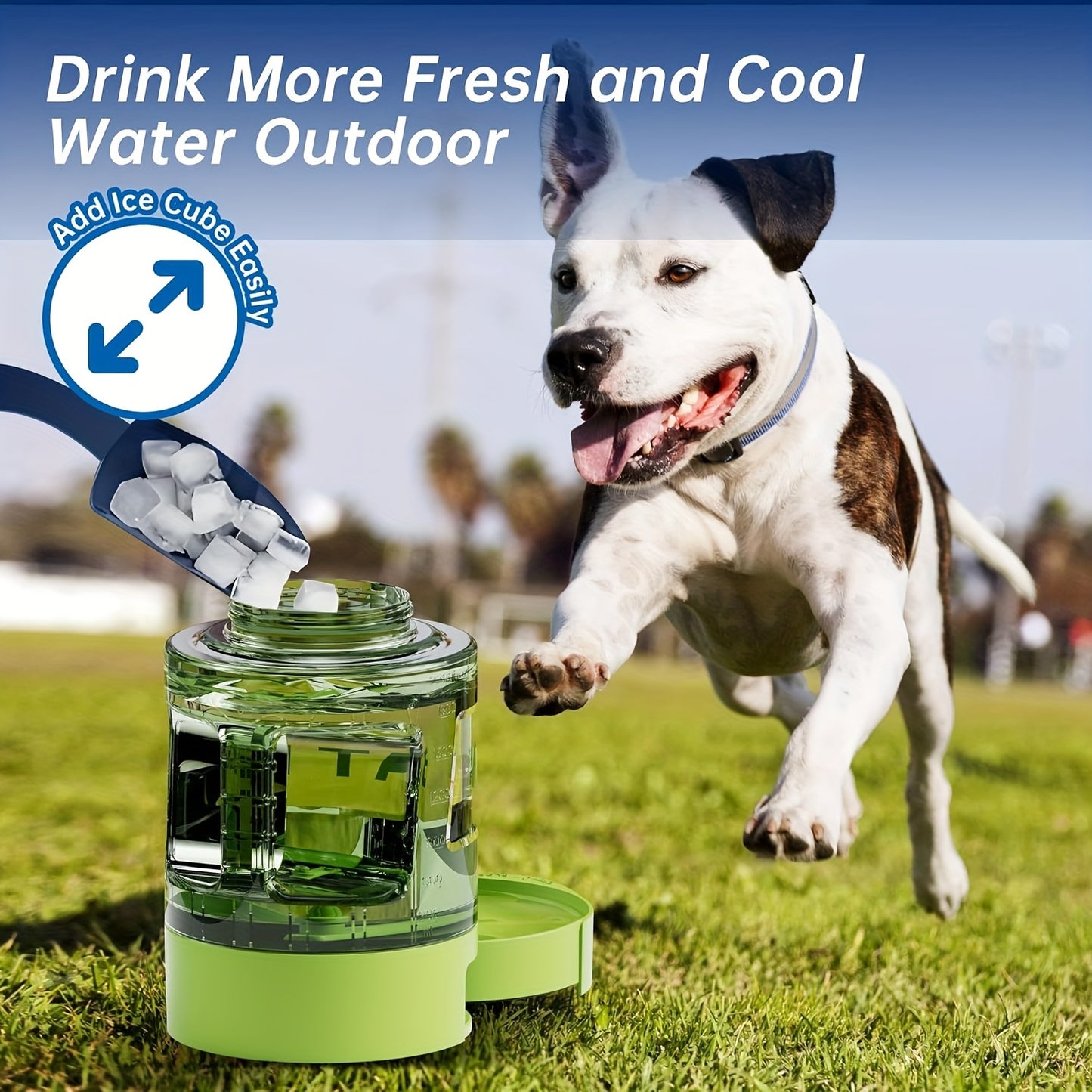 Adventure-Ready Portable Dog Water Bottle