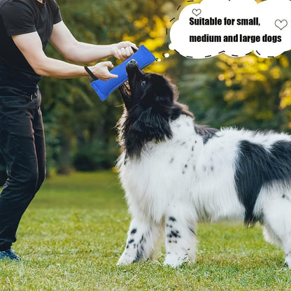 Durable Two-Handle Tug Toy