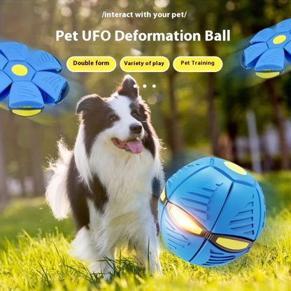 Transforming Elastic Dog Ball Toy