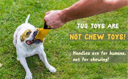 Durable Two-Handle Tug Toy