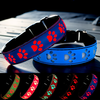 Glow Paw Night Collar