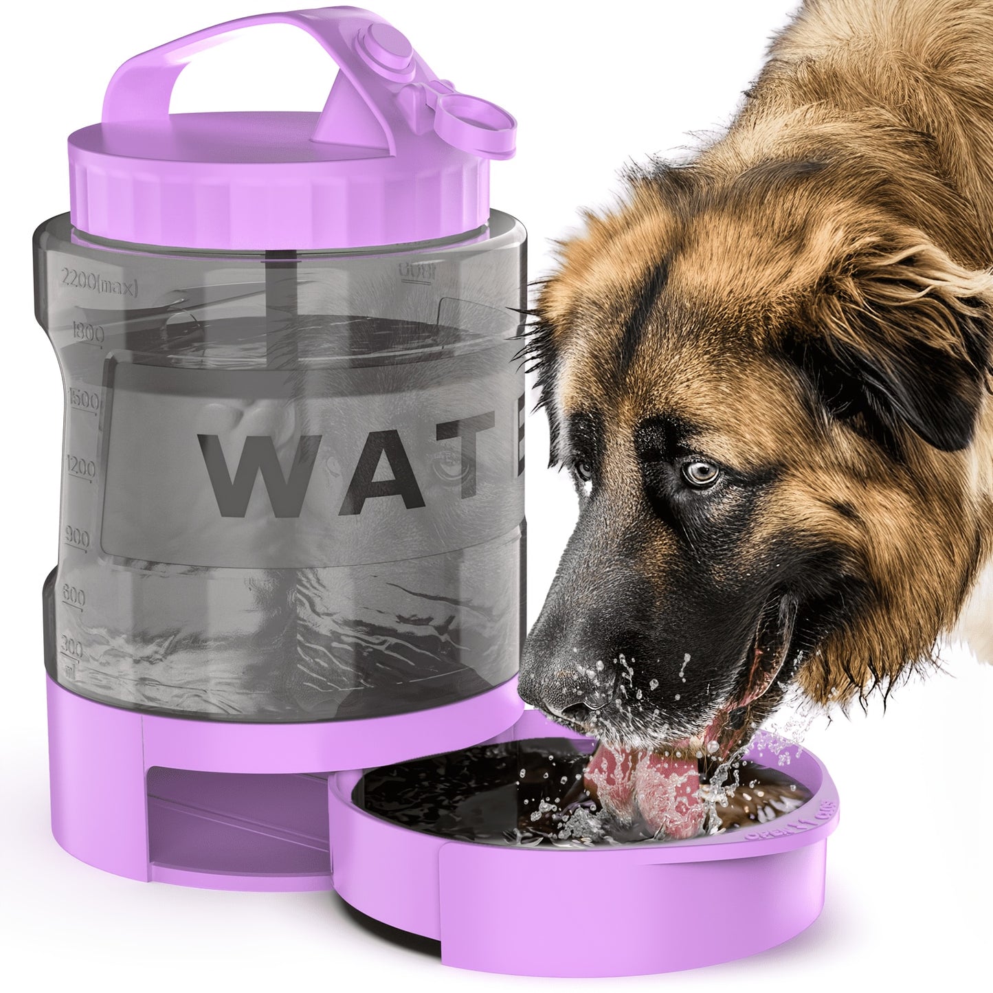 Adventure-Ready Portable Dog Water Bottle