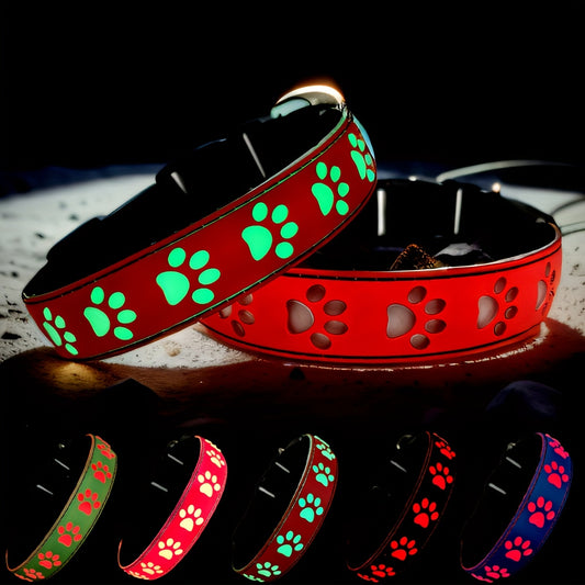 Glow Paw Night Collar
