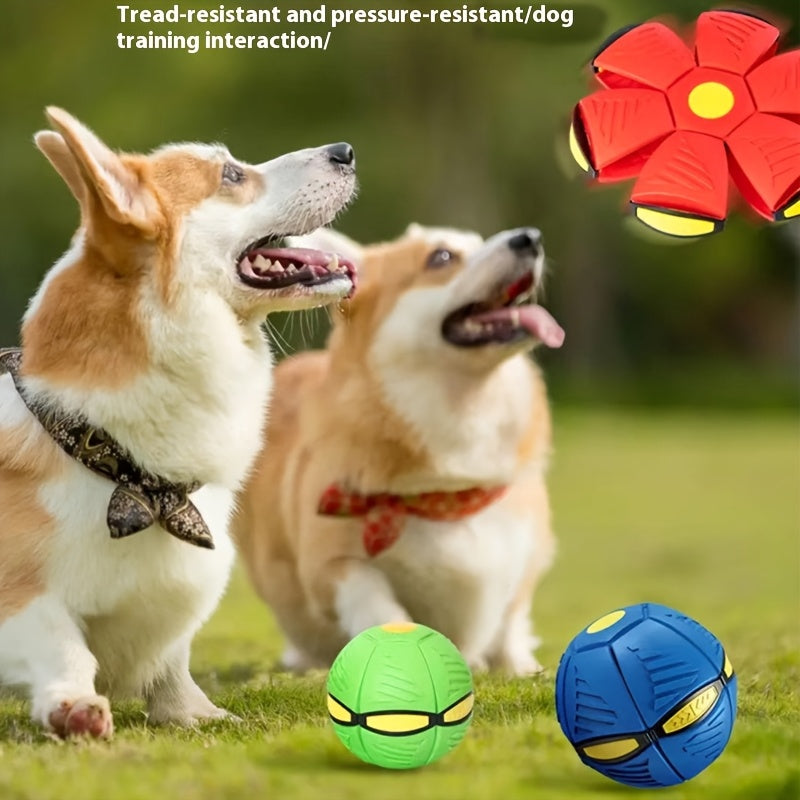 Transforming Elastic Dog Ball Toy