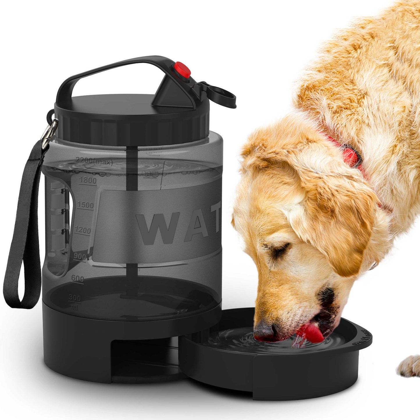 Adventure-Ready Portable Dog Water Bottle